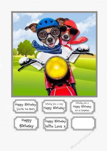 Dogs on Scooter Birthday