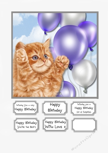 Cat Birthday Card Topper
