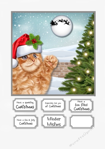 Cute Cat Christmas