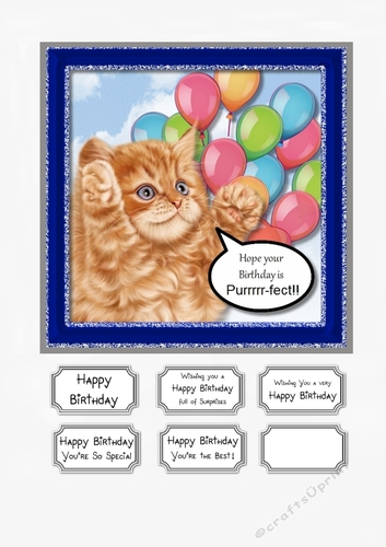 Hope Your Birthday is Purrrr-fect