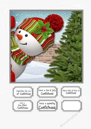 Peek a boo Snowman