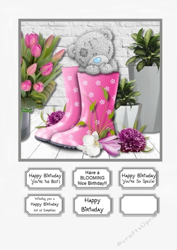 Tatty Teddy Have a Blooming Nice Birthday