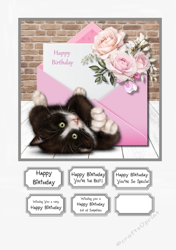 Cute Cat and Flowers Birthday