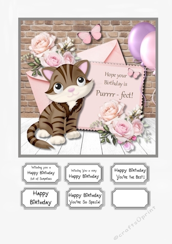 Hope Your Birthday is Purrrr-fect