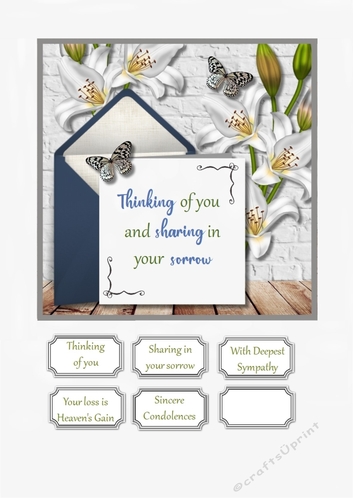 Thinking of you/ sympathy