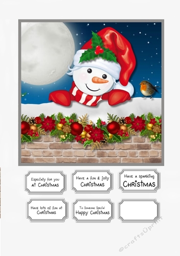 Peek a boo snowman