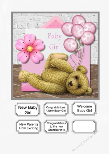 New Baby Girl