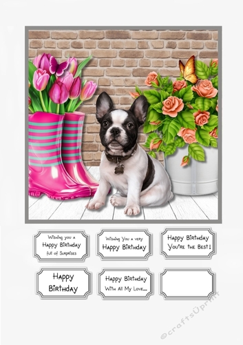 French Bulldog and Flowers