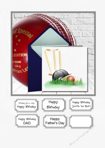 Cricket Mad for Male Birthday, Dad Birthday and Fathers Day
