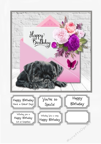 Puppy Birthday
