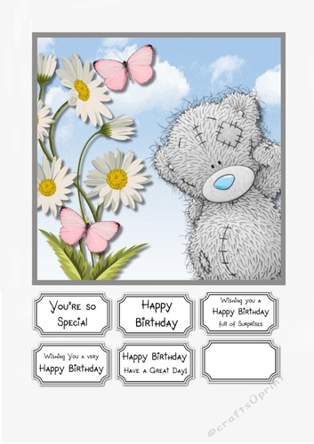 Tatty Teddy Birthday