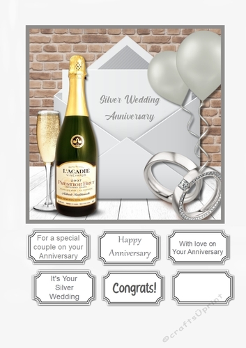 Silver Wedding Anniversary