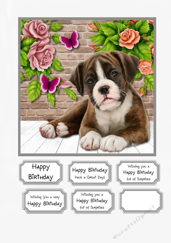 Dog and Roses Birthday