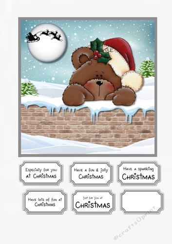 Christmas Teddy Peek a boo