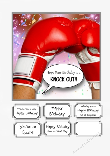 Hope Your Birthday is a Knock Out