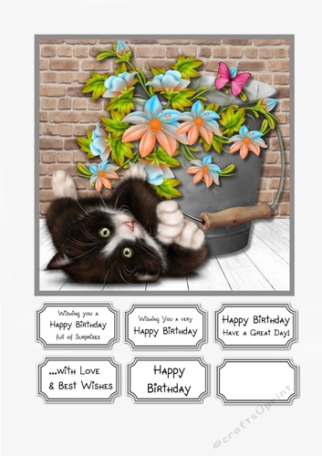 Cute Kitten with Bucket of flowers