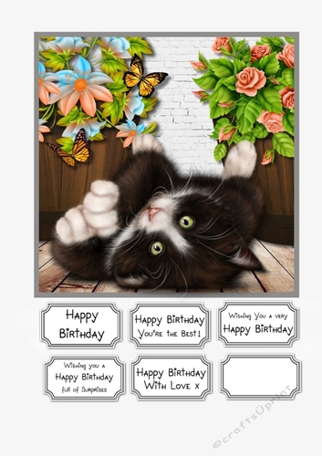 Cute Kitten with Flowers