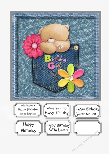 Forever Friends Denim Pocket