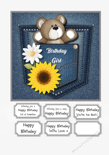 Teddy in Denim Pocket Birthday Girl