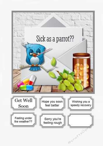 Sick as a parrot get well soon
