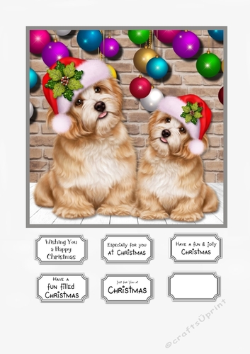 Waiting for Santa Paws