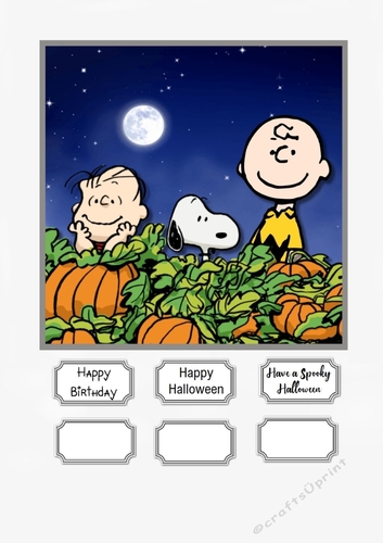 Its the Great Pumpkin Charlie Brown for Birthday or Hallloween