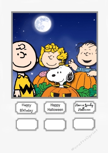 Charlie Brown Birthday or Halloween