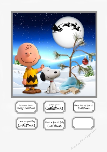 Charlie Brown and Snoopy Christmas