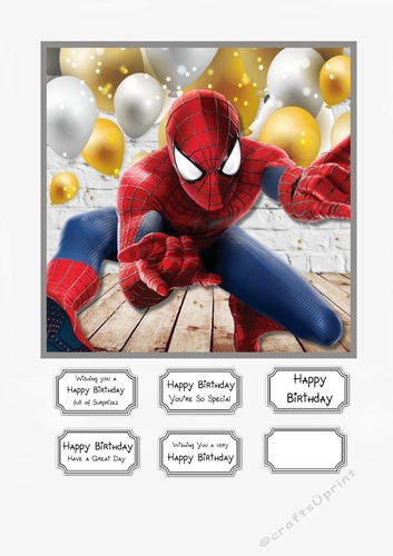 Spiderman Birthday