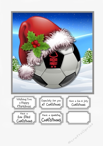 Nottingham Forest Fan Christmas