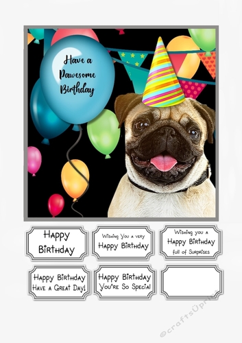 Have a Pawesome Birthday