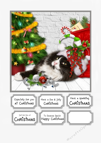 Cute Cat Christmas