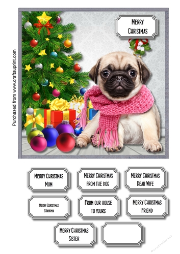 Pug waiting for Santa 2