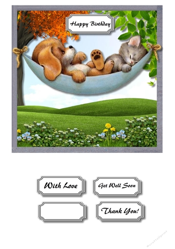 Cute dog and cat in hammock
