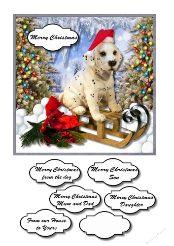 Merry Christmas from the dog