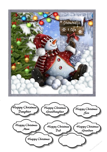 Snowballs for sale