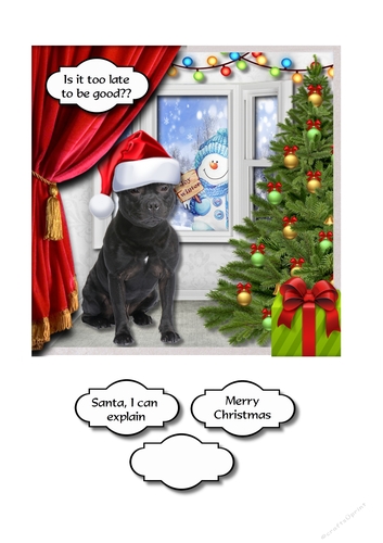 Staffy waiting for santa is it too late to be good?