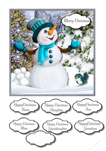Christmas snowman and robin