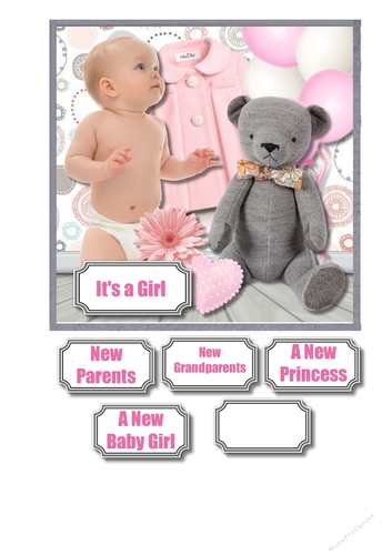 New Baby Girl