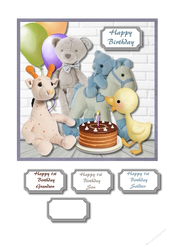 Baby boy 1st birthday
