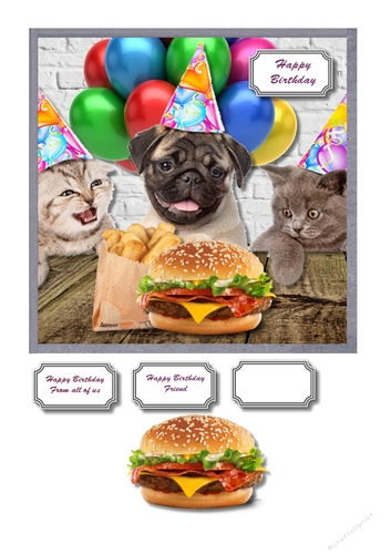 Dog and cats in party hats