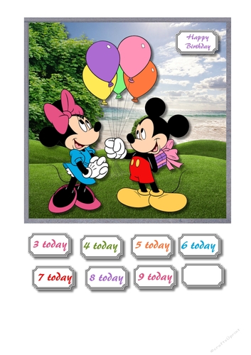 Mickey and Minnie Birthday