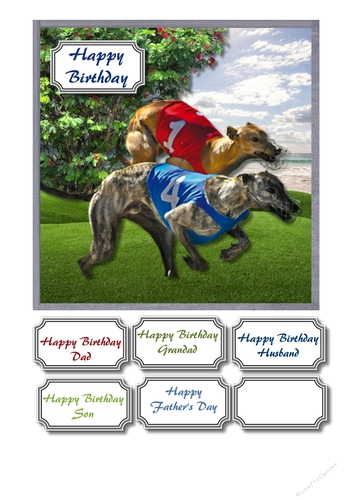 Greyhound racing