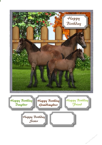 Horse family