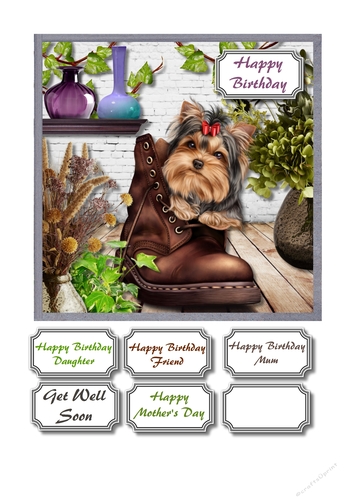Dog in boot with plants and vases