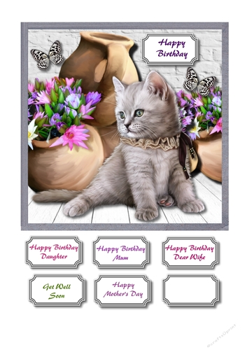 Terracotta pots with cute cat and butterflies