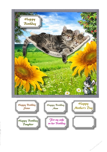 Two cats in hammock with sunflowers