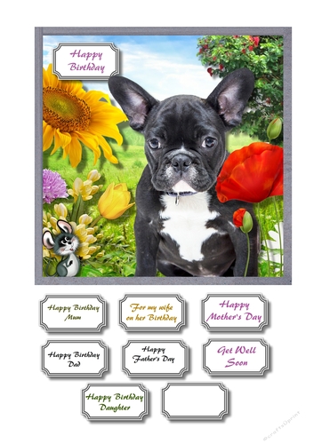 French Bulldog in field of wild flowers
