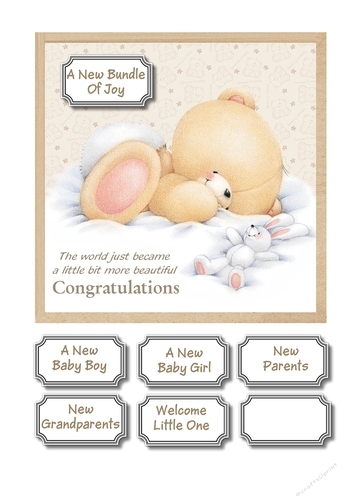 Forever friends new baby girl/boy