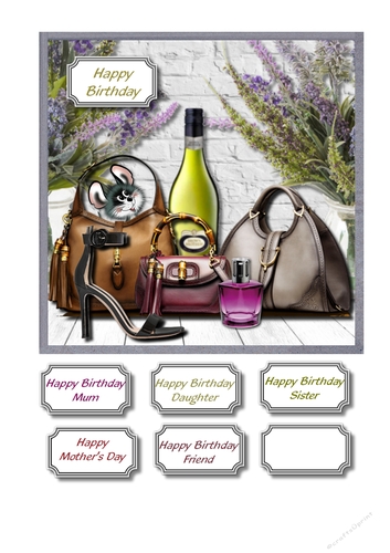 Ladies accessories